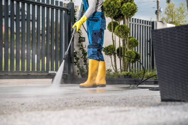 Reliable Darrington, WA Pressure Washing Services Solutions